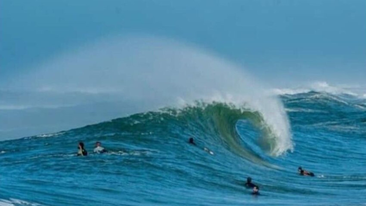 Photo of Others in Saint-Vincent-de-Tyrosse