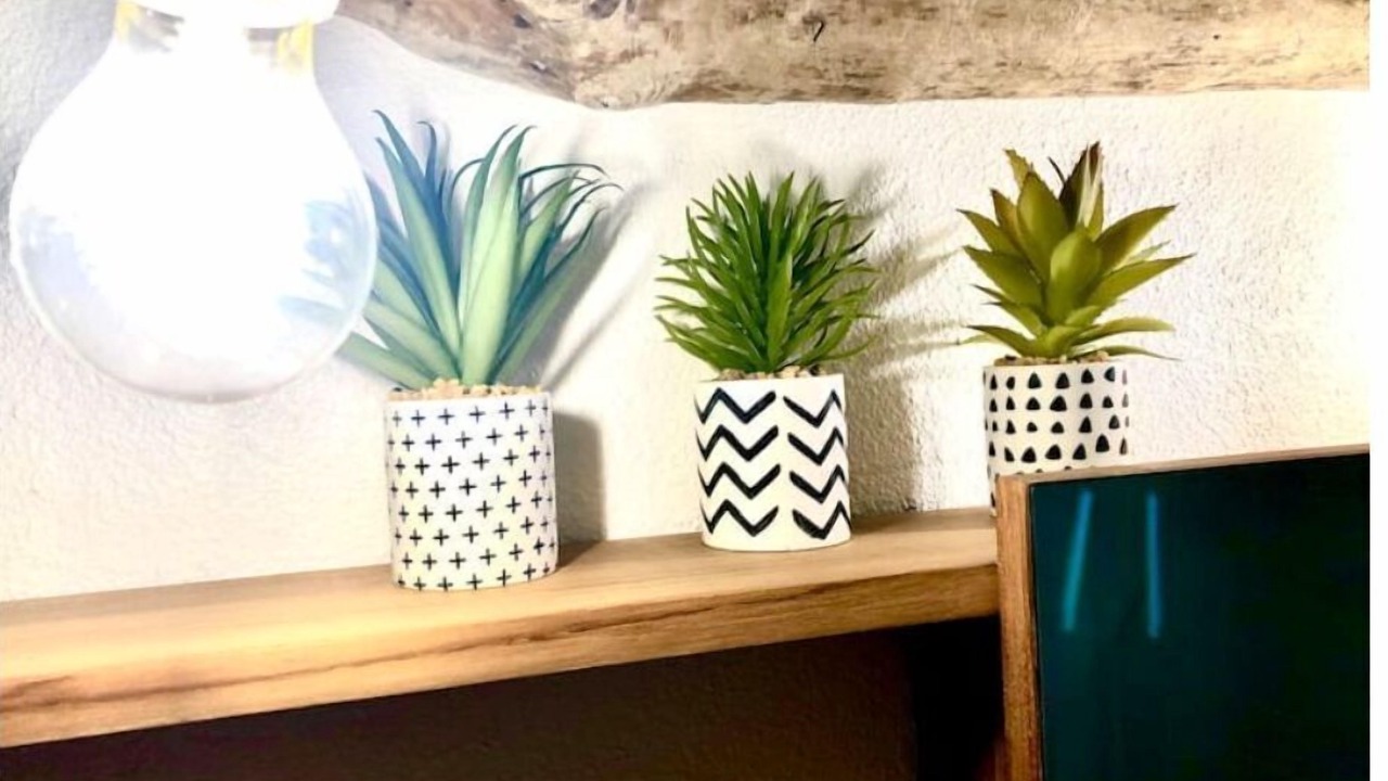 Photo of Others in Saint-Vincent-de-Tyrosse