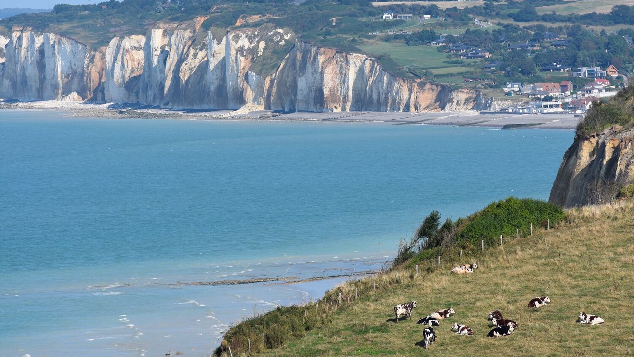 Photo of Others in Sainte-Marguerite-sur-Mer