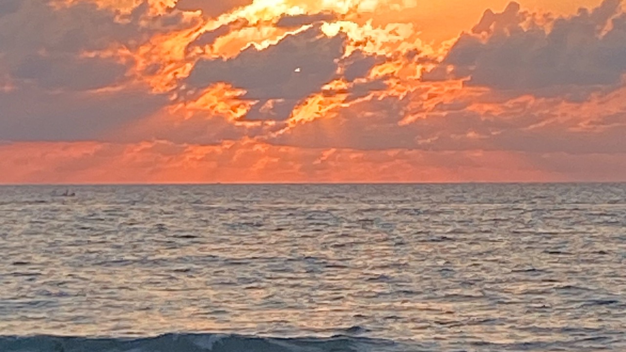 Photo of Others in Juno Beach