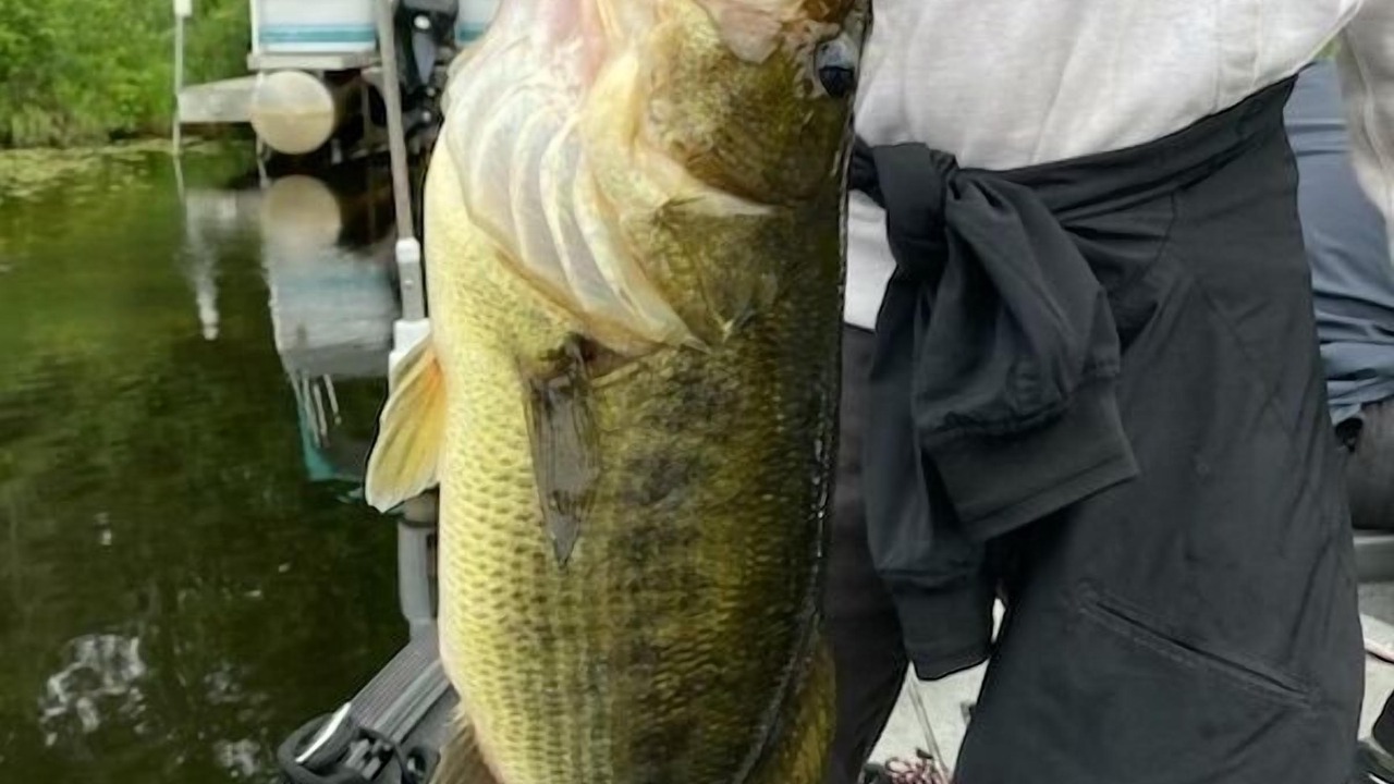 Photo of Others in Round Lake