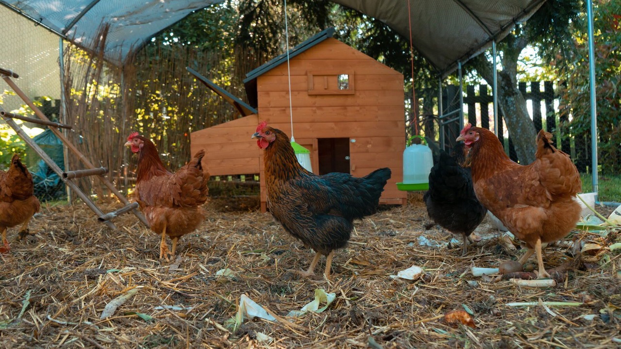 Photo of Outdoor in Dommartin