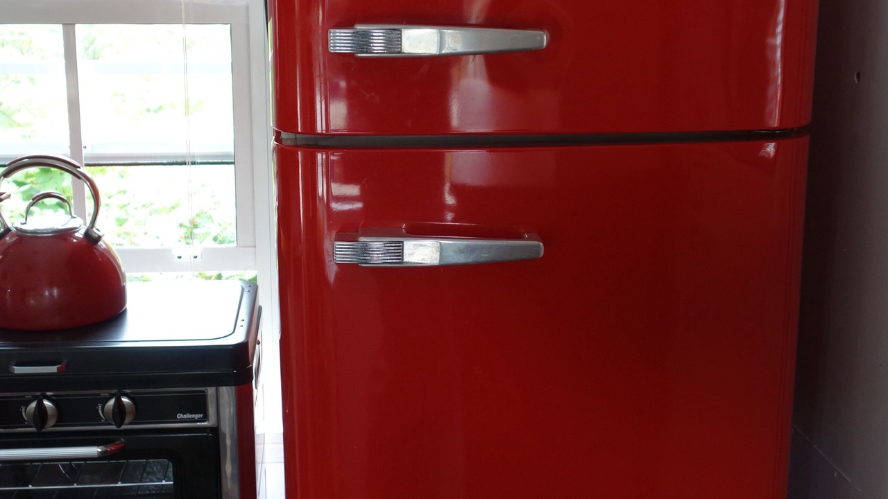 Photo of Others in Lower Hutt