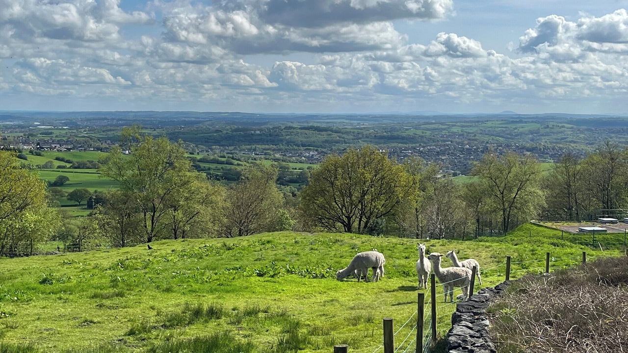 Photo of Others in Mow Cop