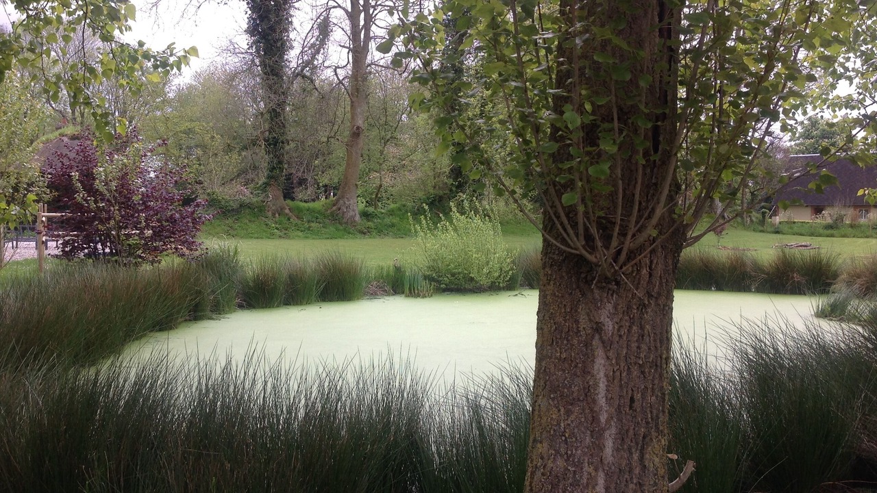 Photo of Outdoor in Sasseville