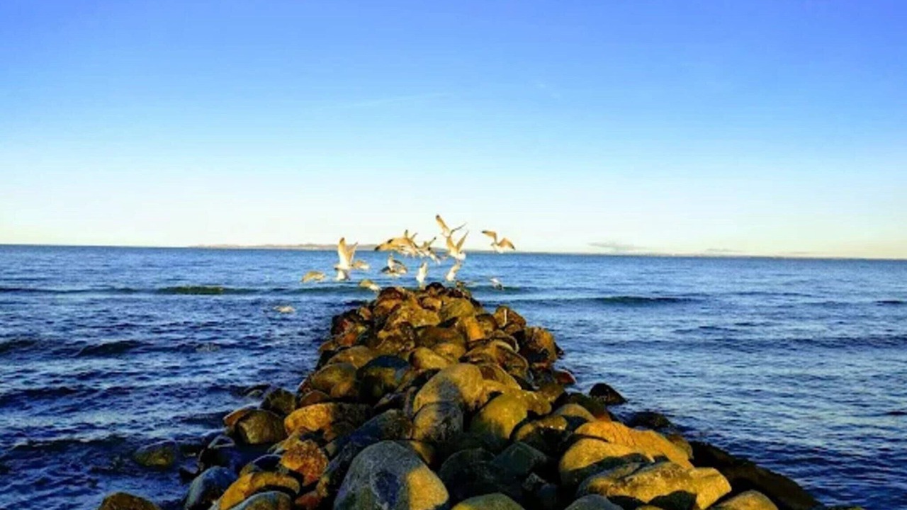 Photo of Others in Dronningmolle