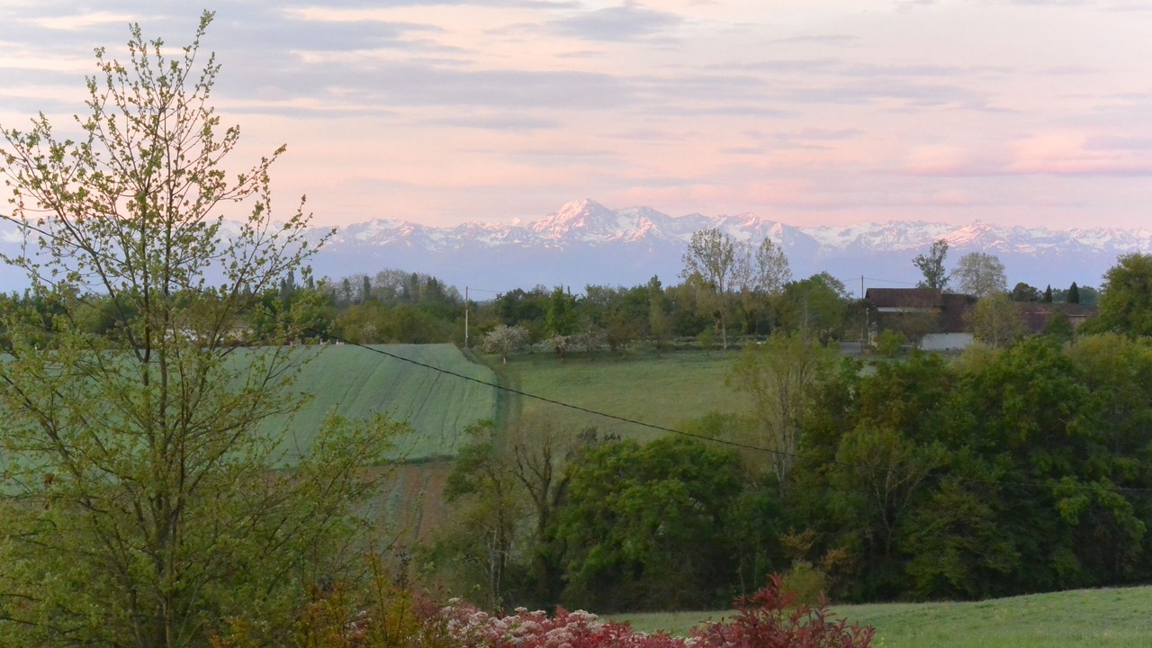 Photo of Outdoor in Plaisance