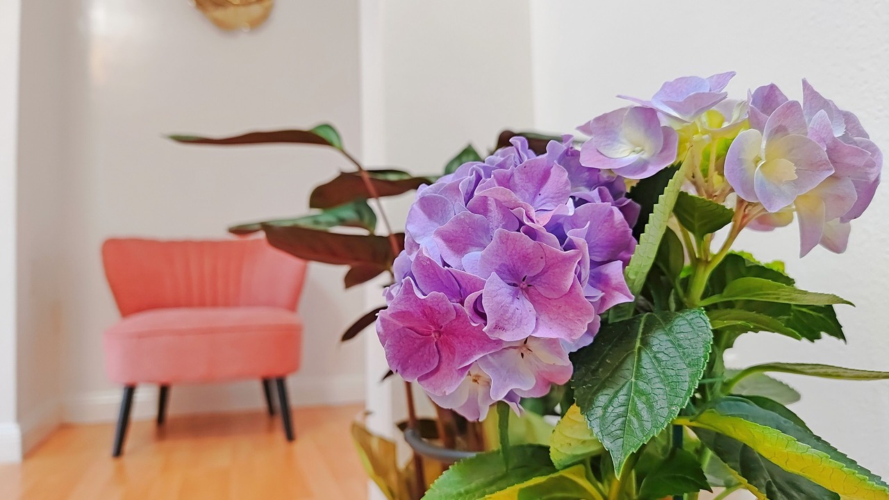 Photo of Others in Daly City