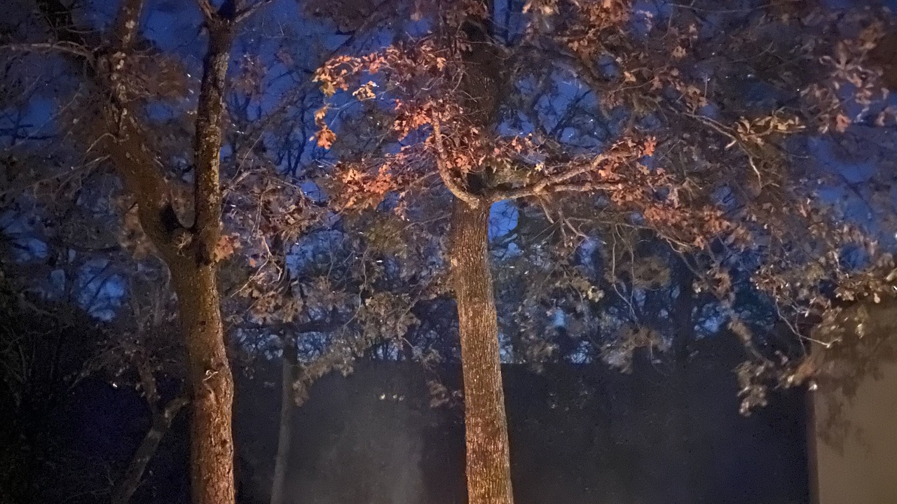 Photo of Livingroom in Evening Shade