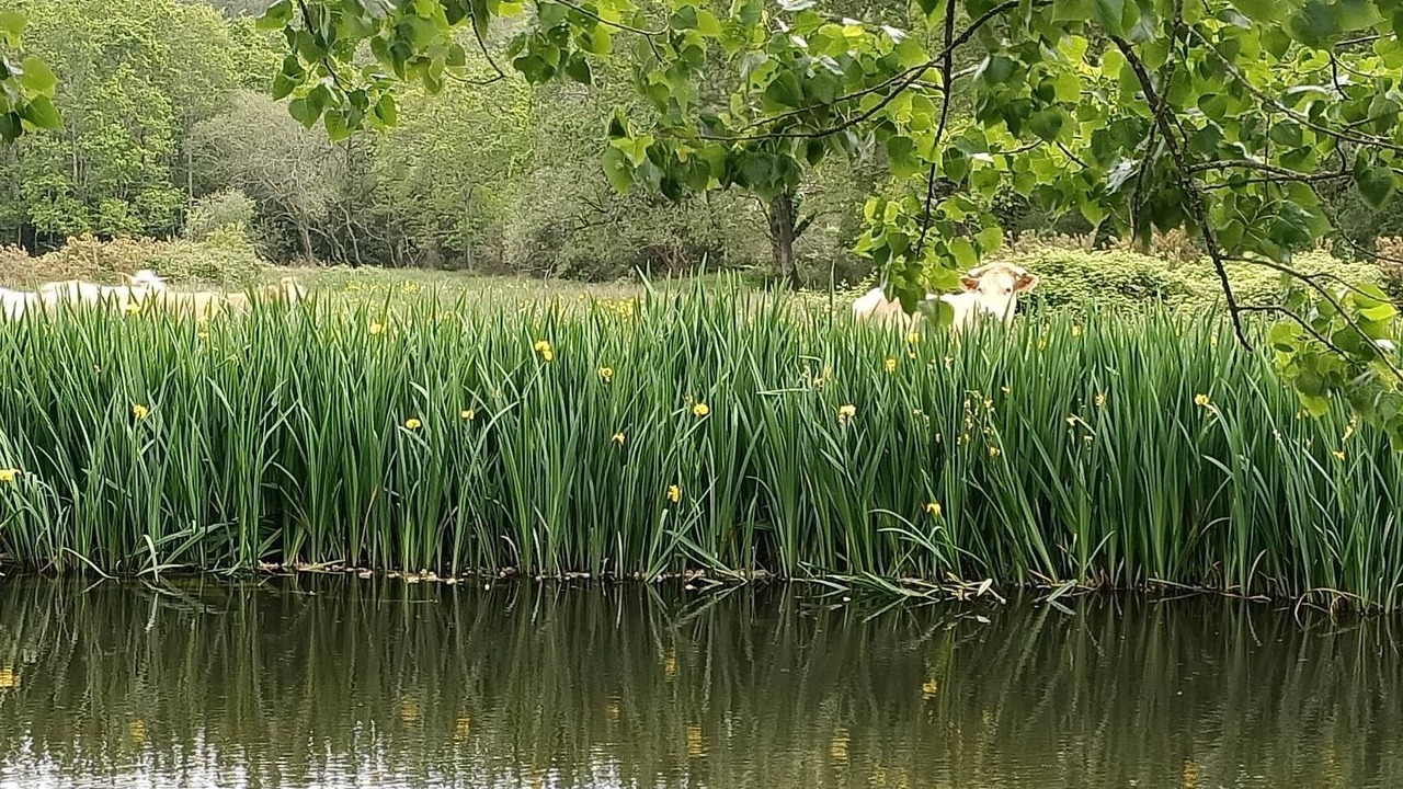 Photo of Outdoor in Ergue-Gaberic