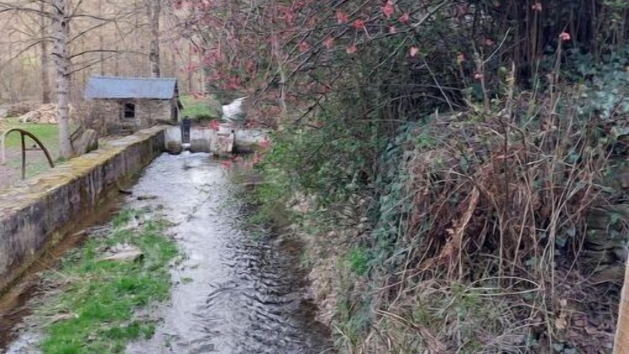 Photo of Outdoor in Cassagnes-Begonhes