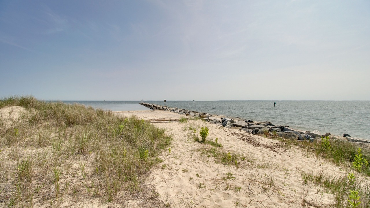 Photo of Others in Calvert Beach-Long Beach
