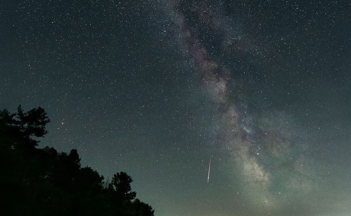 Photo of Others in Rapid City