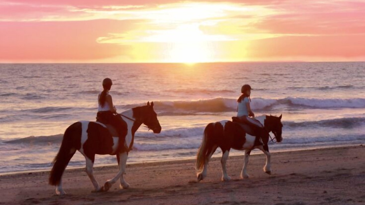 Photo of Others in Gouville-sur-Mer