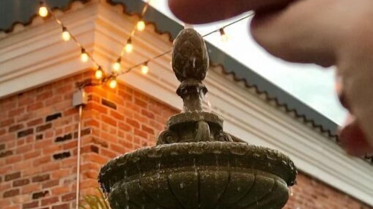 Photo of Outdoor in East Tampa