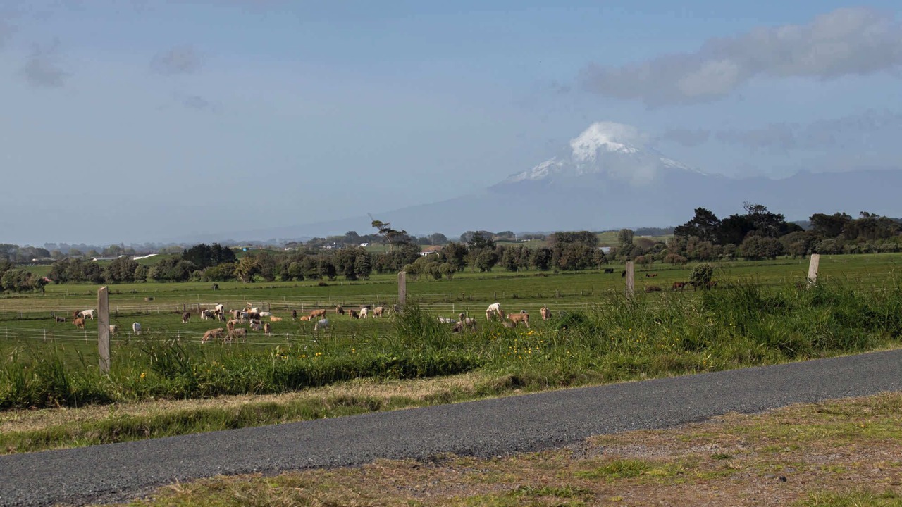 Photo of Others in Brixton