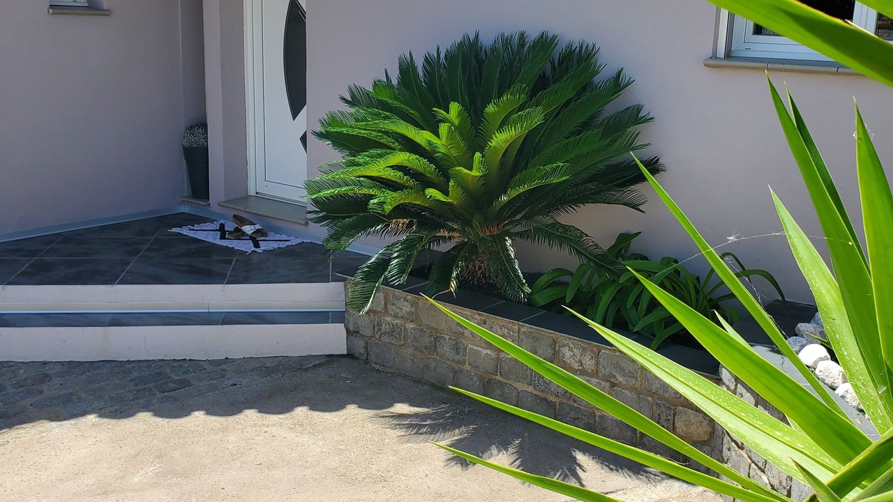 Photo of Outdoor in Pia