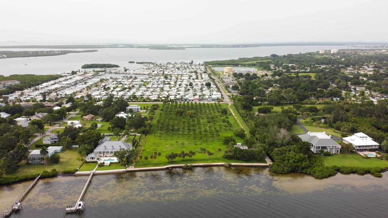 Photo of Outdoor in Palmetto