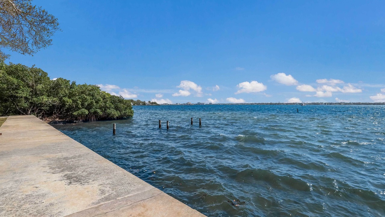 Photo of Others in Palmetto