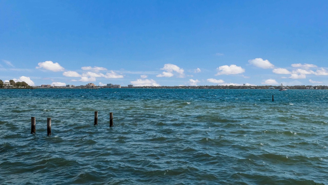 Photo of Others in Palmetto