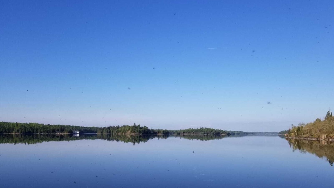 Photo of Others in Falcon Lake