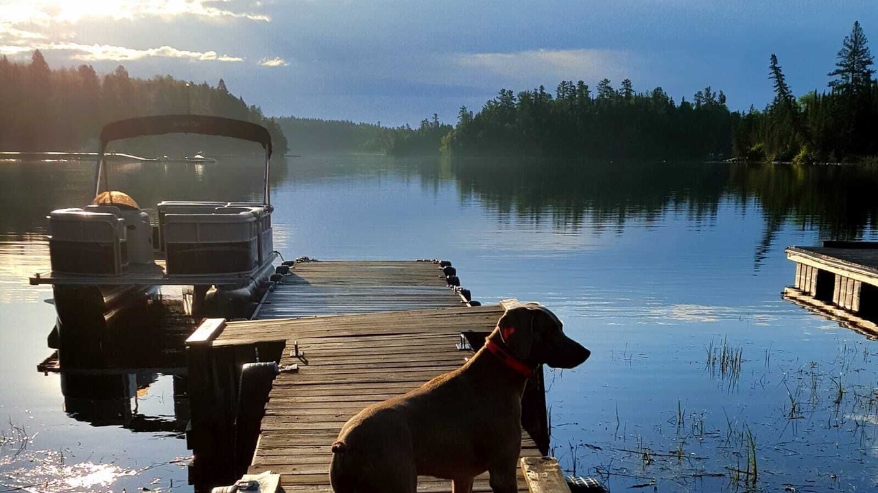 Photo of Others in Falcon Lake