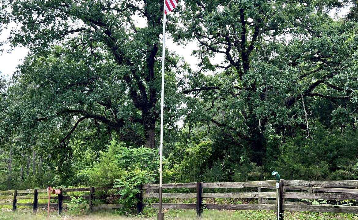Photo of Outdoor in Avinger