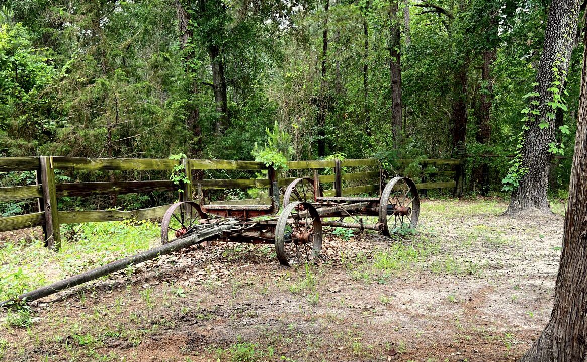 Photo of Outdoor in Avinger