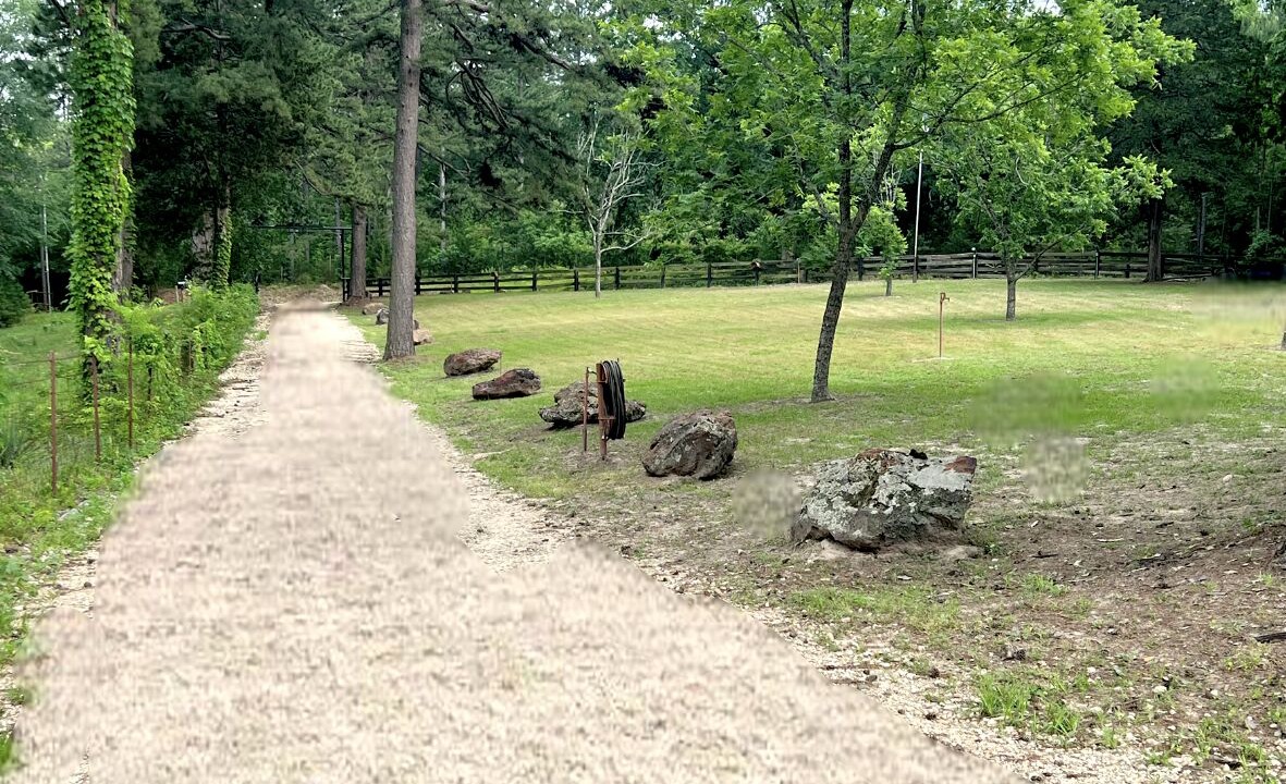 Photo of Outdoor in Avinger