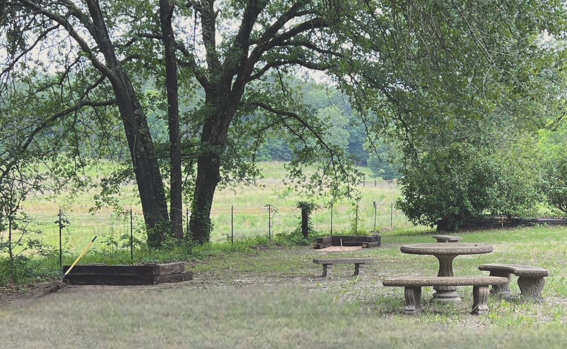Photo of Outdoor in Avinger