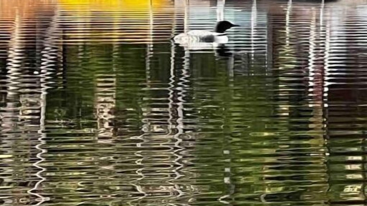 Photo of Others in Chestertown