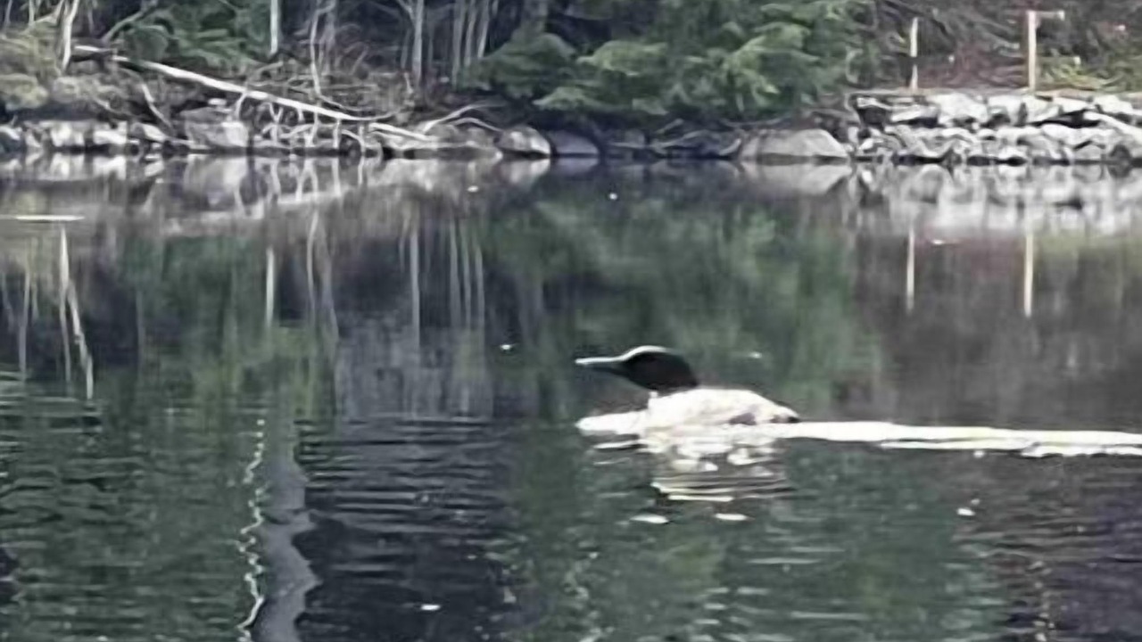 Photo of Others in Chestertown