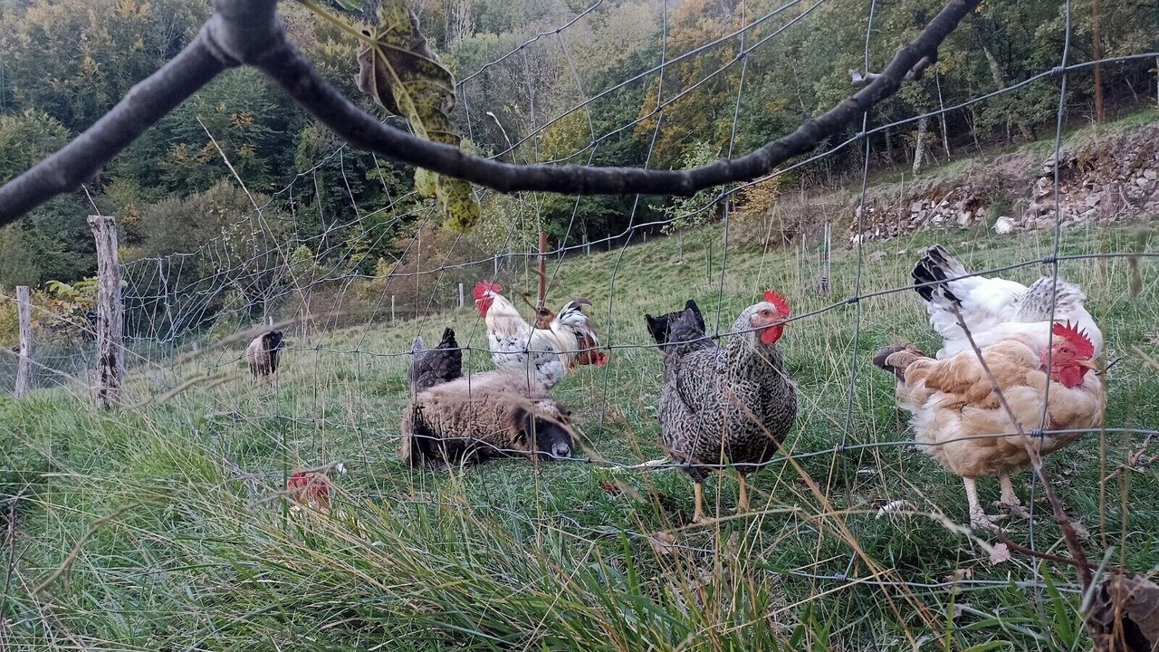 Photo of Outdoor in Montjoie-en-Couserans