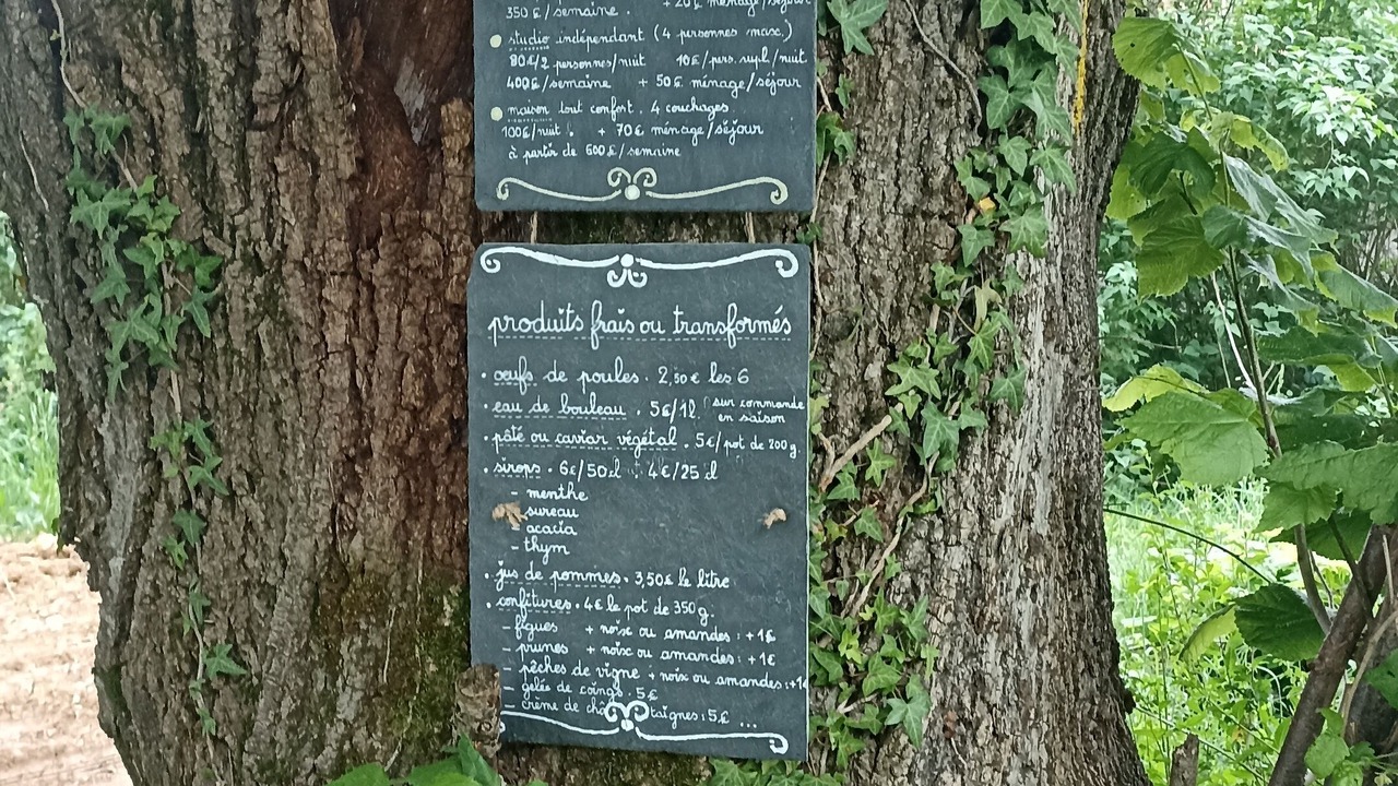 Photo of Outdoor in Montjoie-en-Couserans
