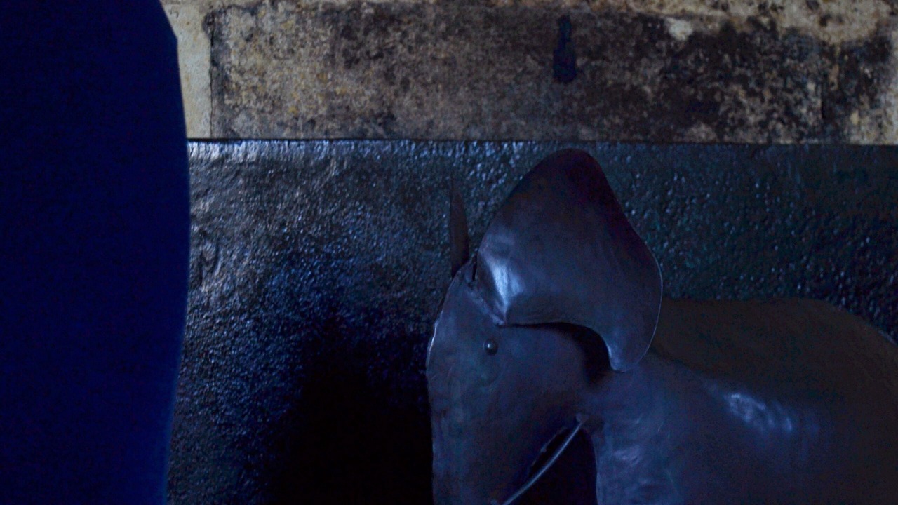 Photo of Others in Saint-Paul-de-Baise