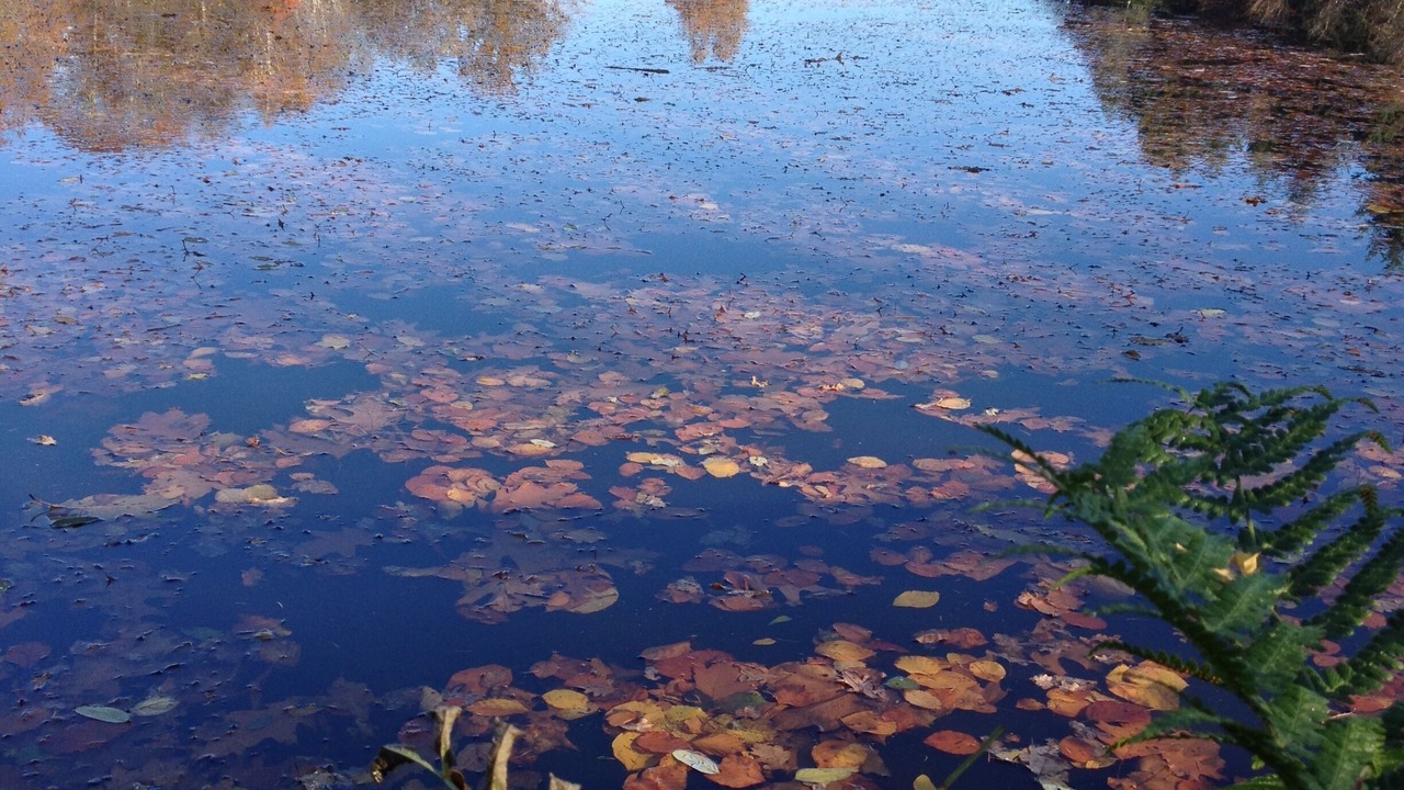 Photo of Others in Villefavard