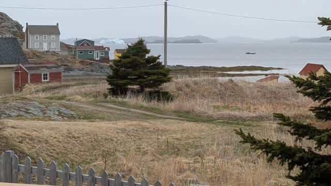 Photo of Others in Twillingate