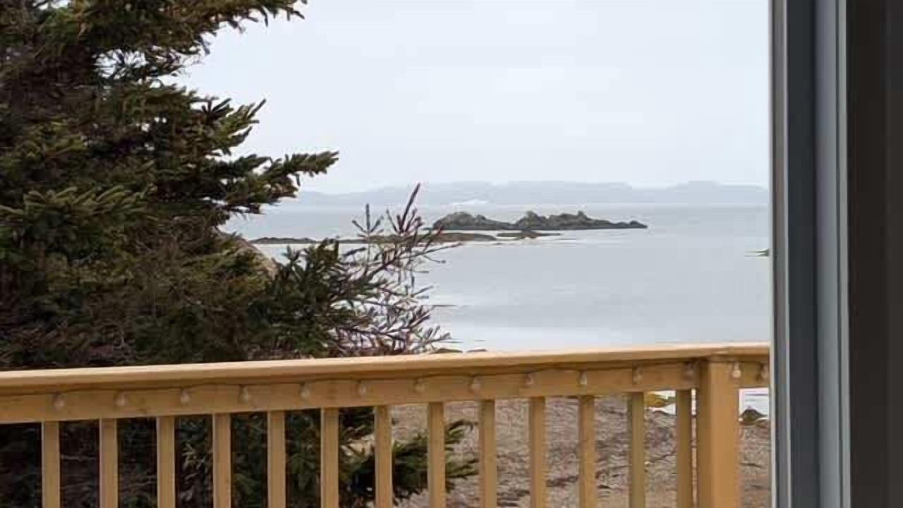 Photo of Others in Twillingate