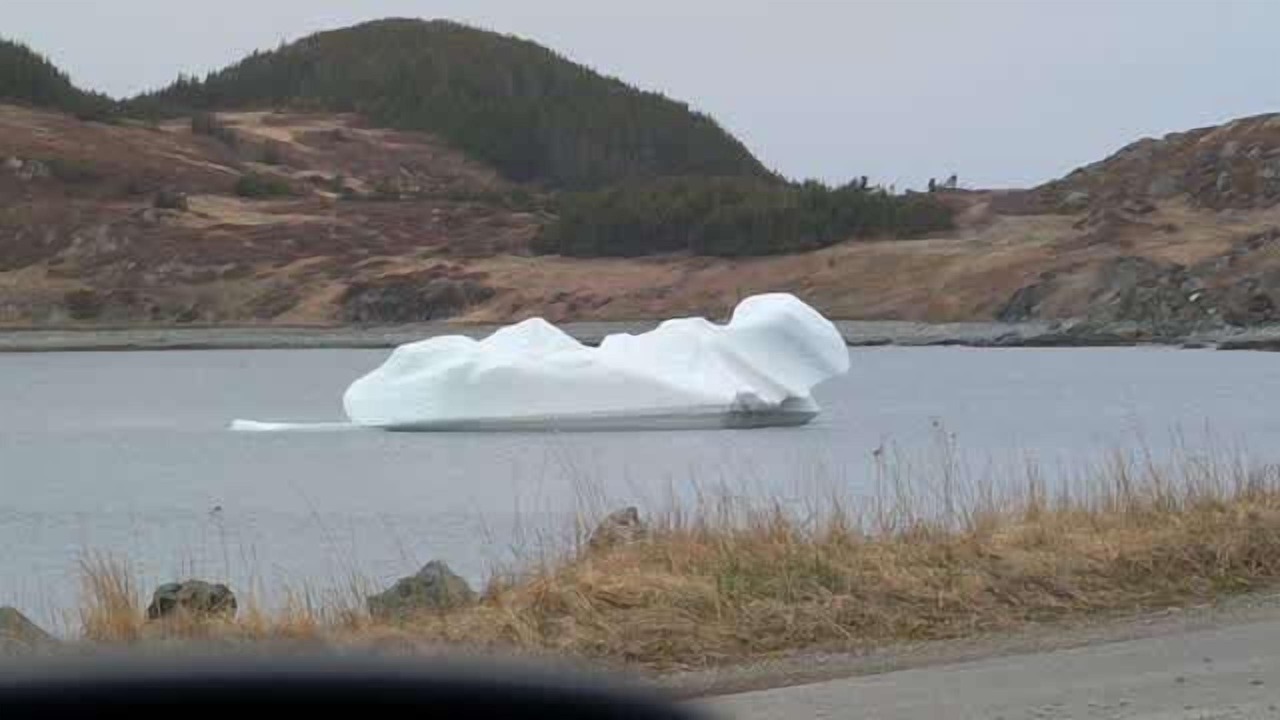 Photo of Others in Twillingate