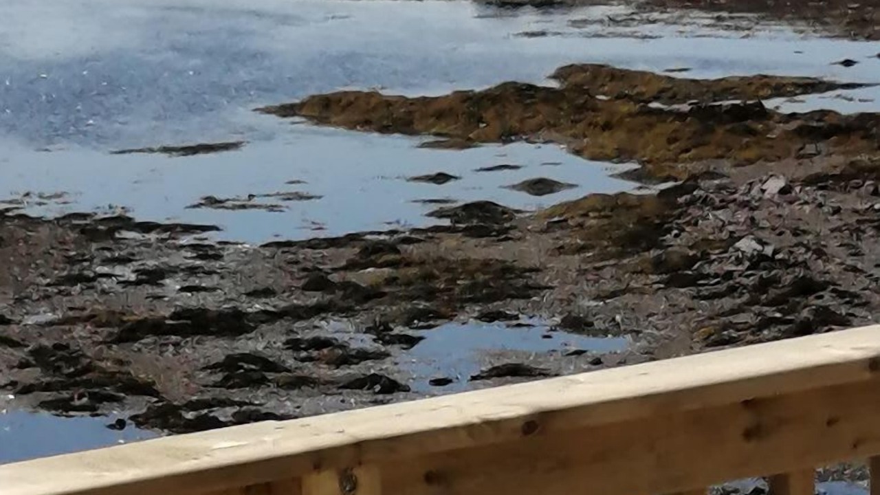 Photo of Outdoor in Twillingate