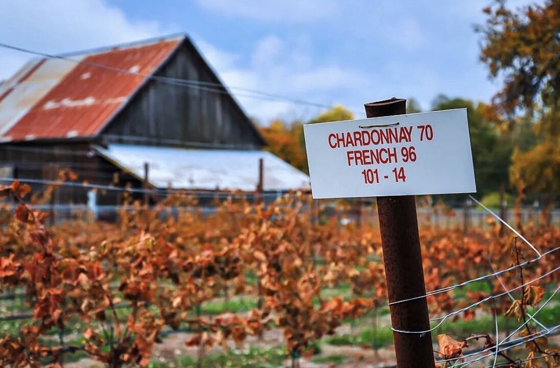 Photo of Outdoor in Roseburg