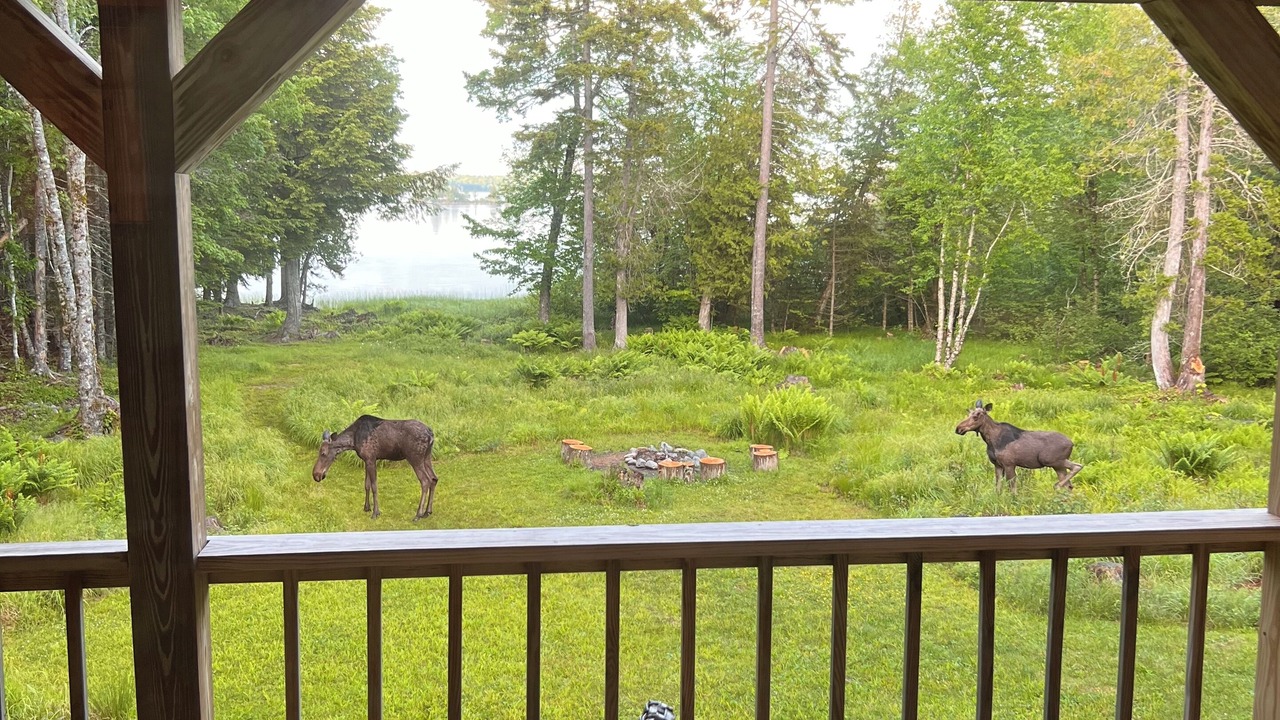 Photo of Outdoor in East Machias