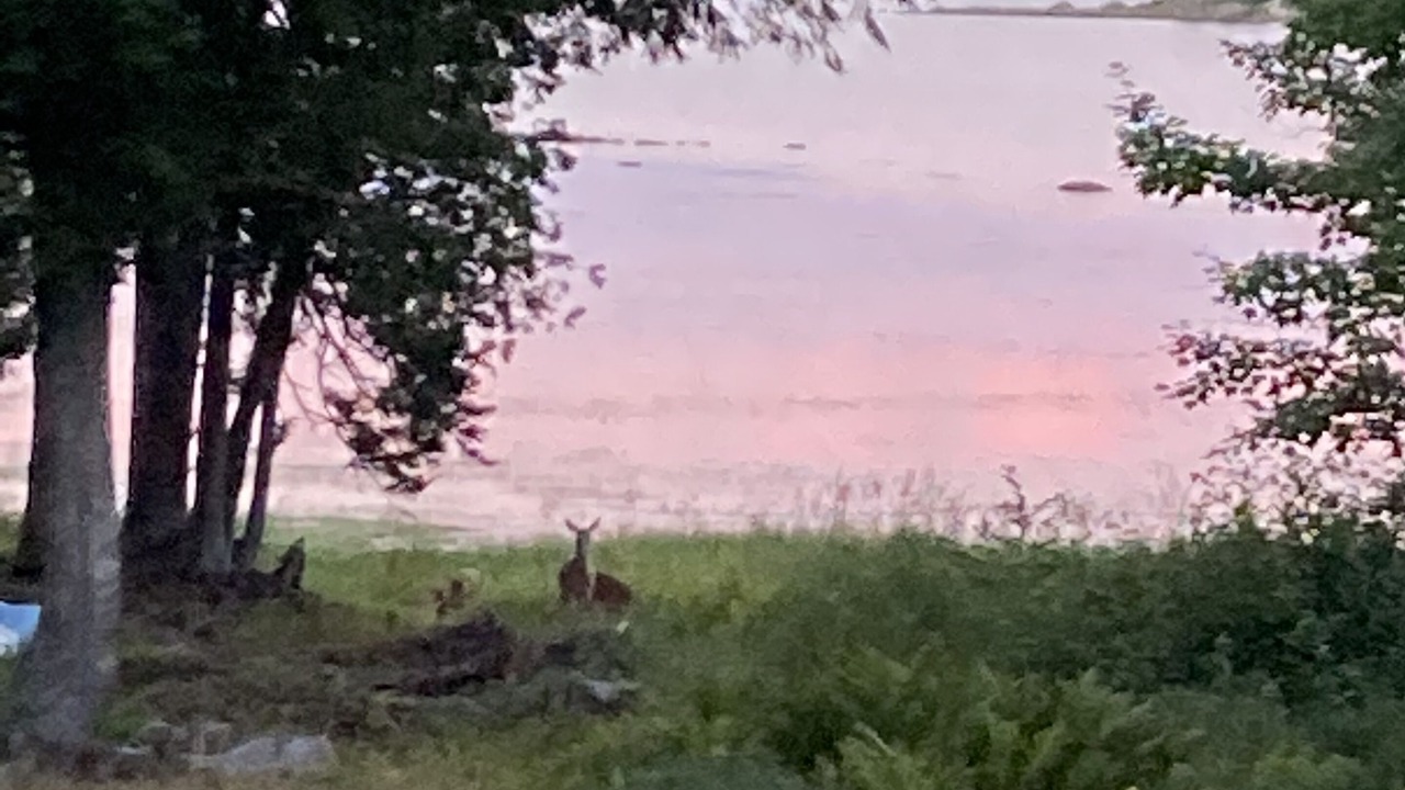Photo of Others in East Machias
