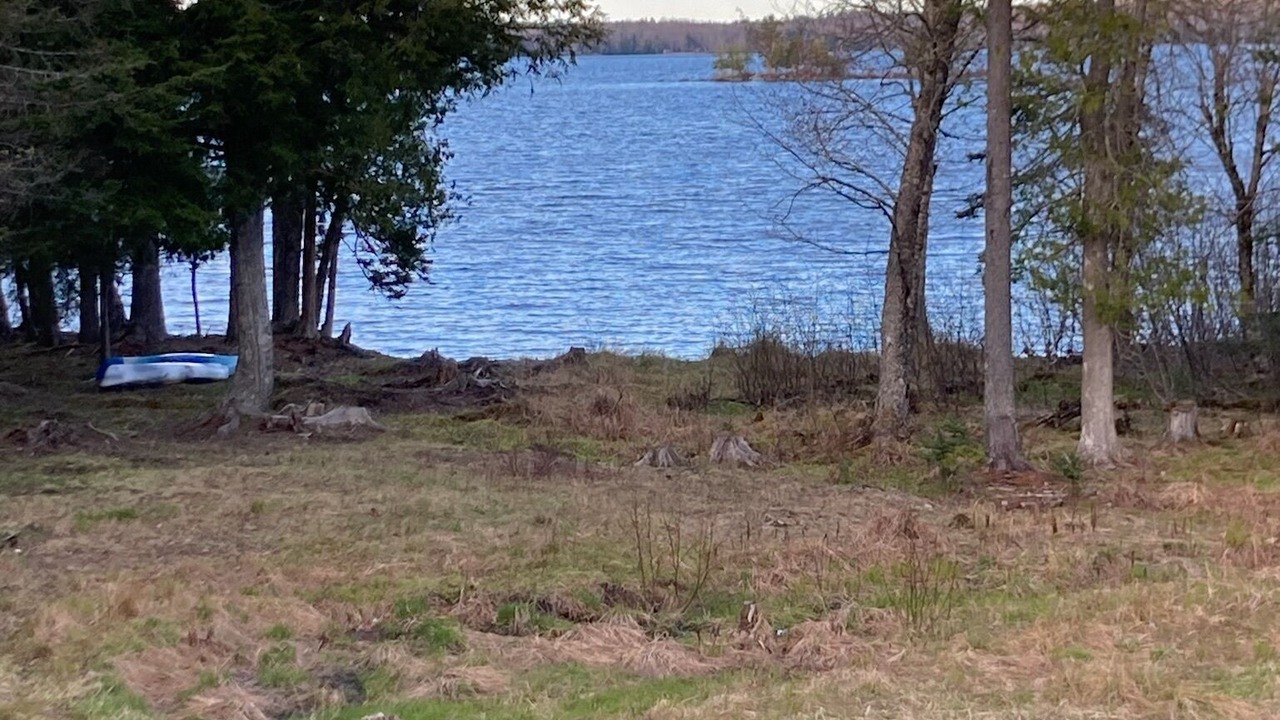 Photo of Outdoor in East Machias