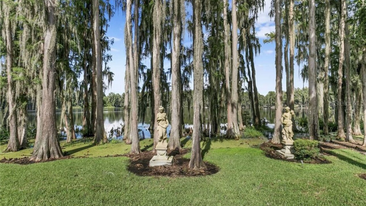 Photo of Outdoor in Lutz