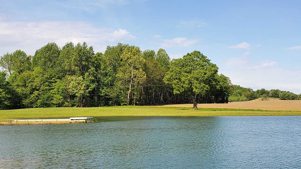 Photo of Outdoor in Rumsey