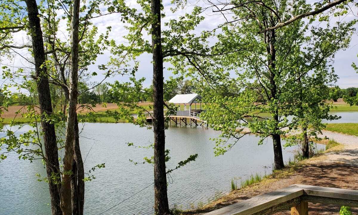 Photo of Outdoor in Rumsey