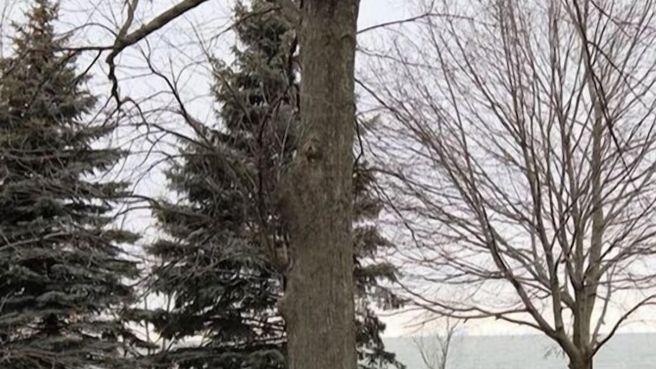 Photo of Outdoor in Wilson