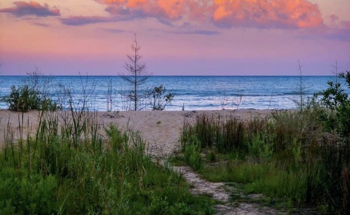 Photo of Others in Oscoda