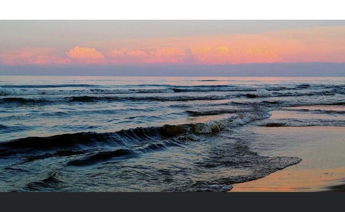 Photo of Others in Oscoda